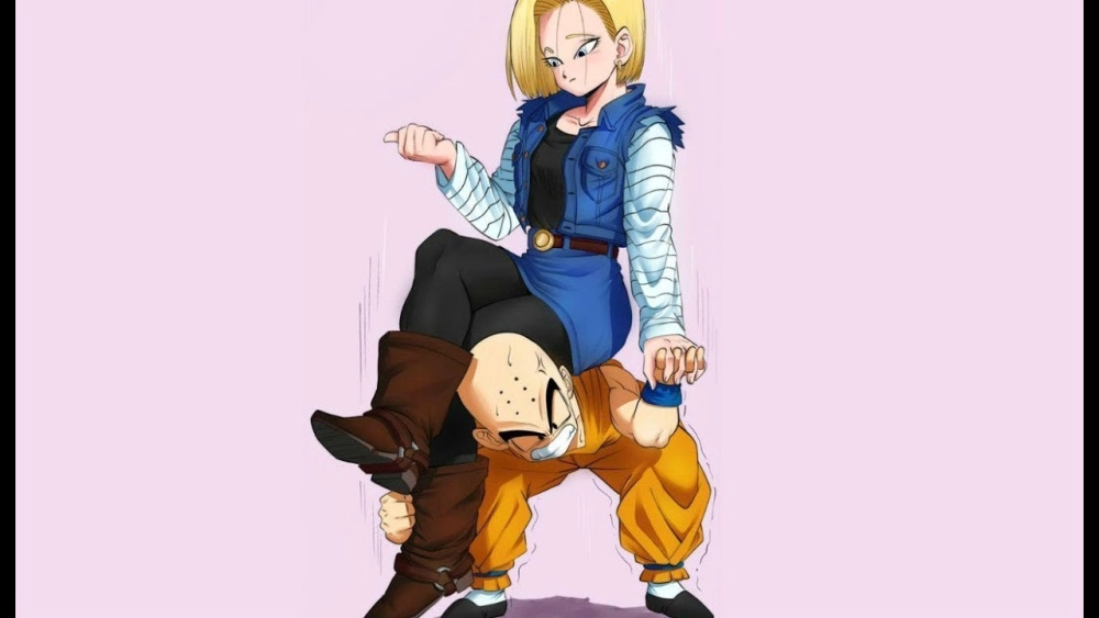 Krillin and Android 18 cặp đôi vượt định kiến