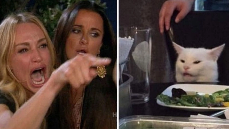 Ngập tràn tiếng cười cùng loạt meo bựa meme chất như nước cất