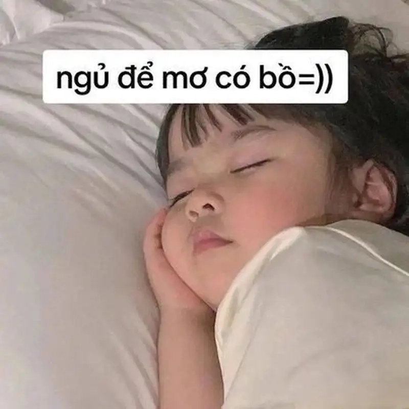 Chìm trong giấc ngủ cùng meme em bé ngủ dễ thương