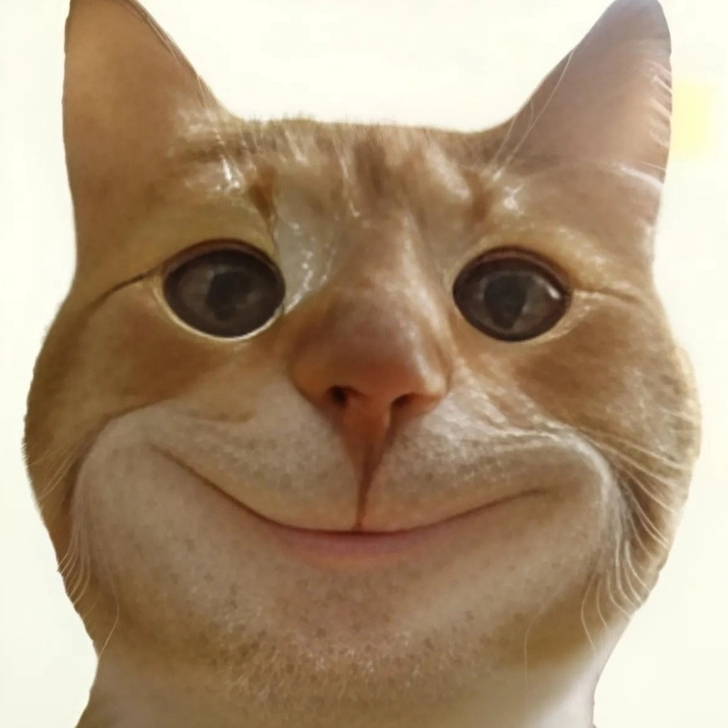 Ngắm ảnh chế mèo meme cười xỉu vì độ troll dễ thương