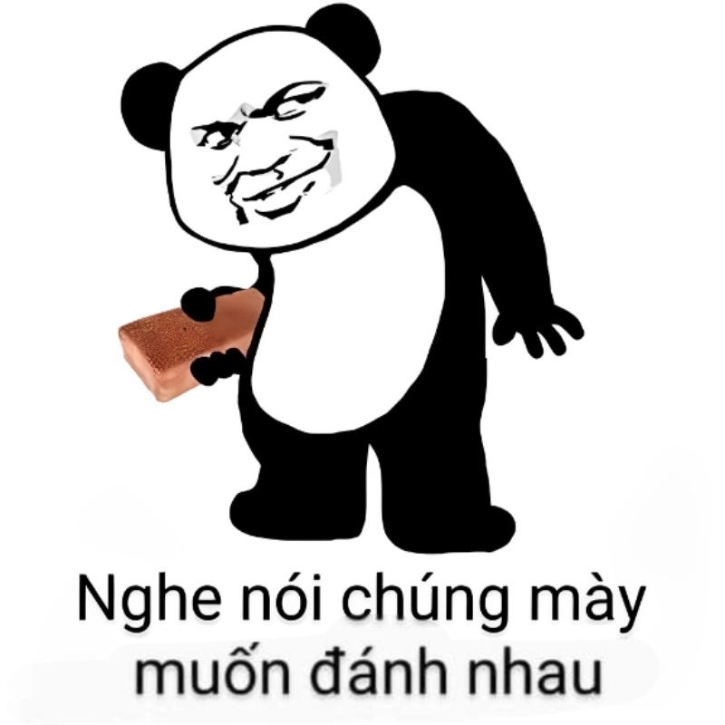 Bạn đã xem ảnh chế meme gấu trúc chưa mà cười vậy