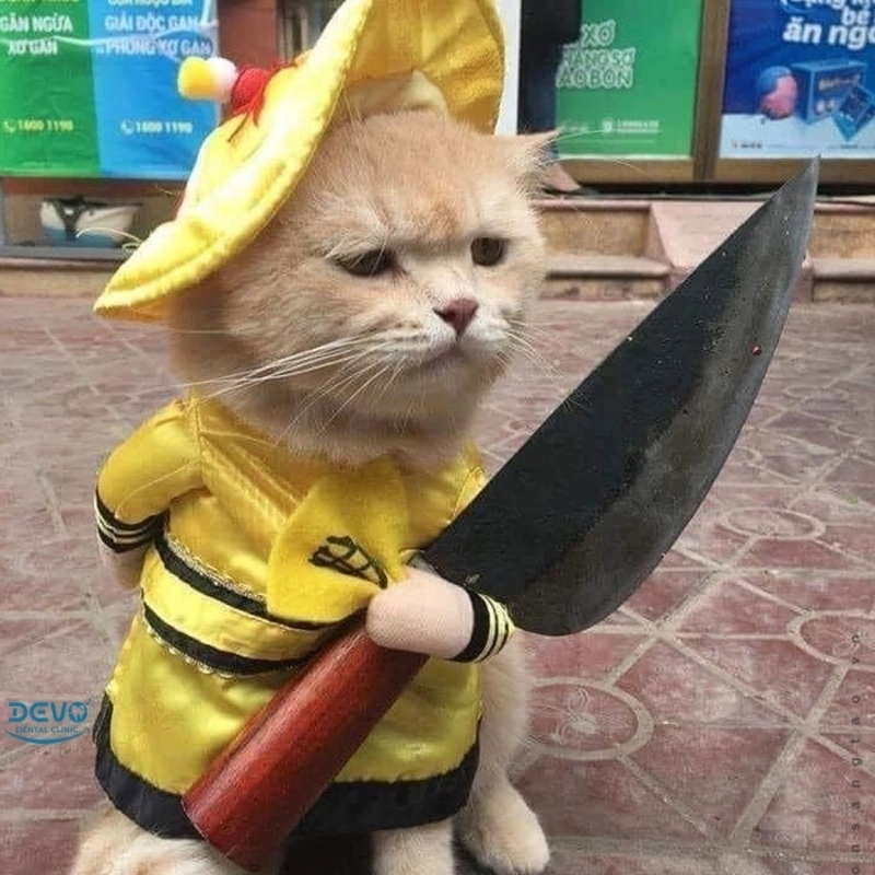 Bạn đã thử meme chế ảnh gốc chưa mà hài thế này