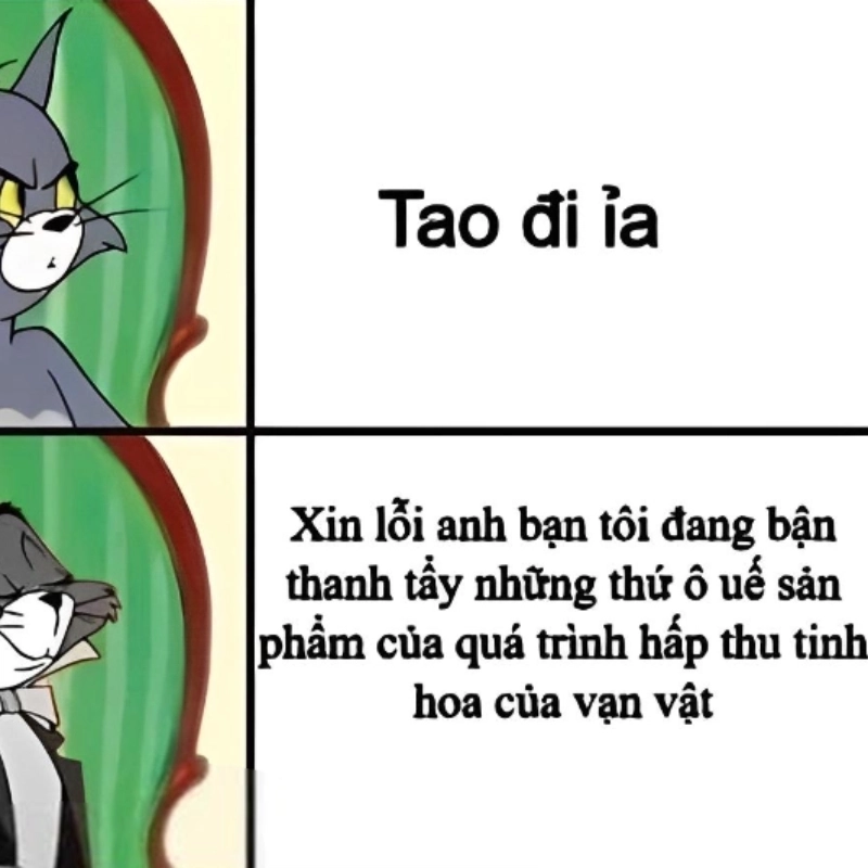 Cười té ghế với bộ chế ảnh meme hài hước siêu lầy
