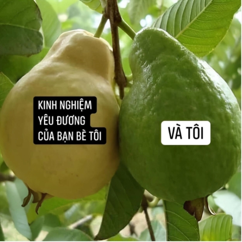 Viral không lối thoát với meme chế hài hước ảnh chế bựa