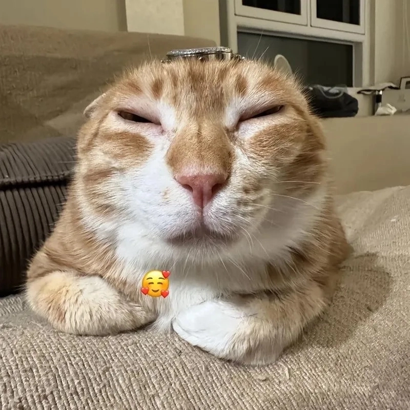 Loạt ảnh troll chế meme hài khiến cộng đồng cười bò