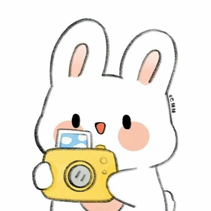 Tổng hợp những chú thỏ cute siêu yêu không thể cưỡng nổi