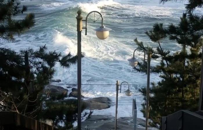 Cập nhật avatar đen buồn để thể hiện tâm trạng