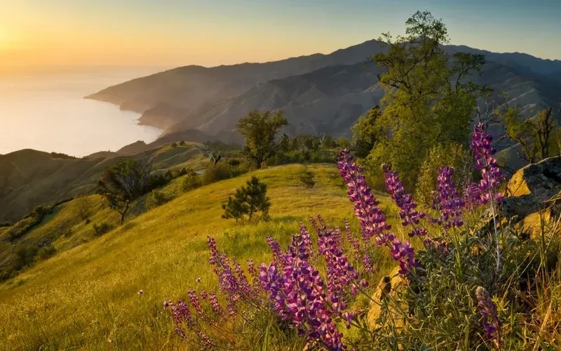 Khám phá avatar phong cảnh thiên nhiên đẹp lạ