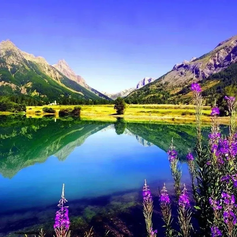 Sở hữu avatar đẹp về thiên nhiên độc đáo