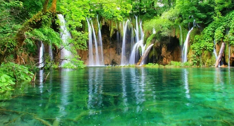 Tìm kiếm hình avatar thiên nhiên tuyệt đẹp