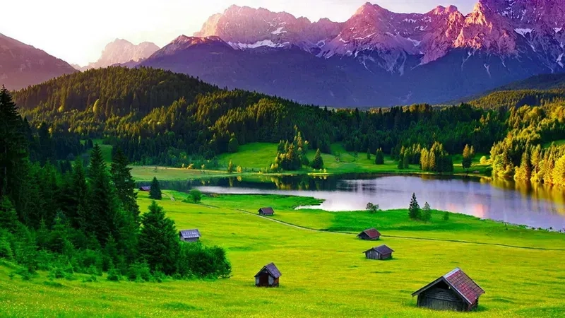 Nổi bật với ảnh avatar thiên nhiên đẹp lung linh