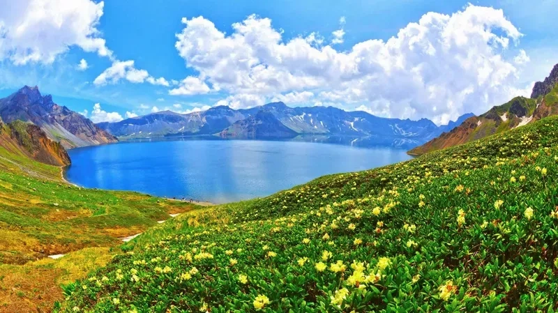 Tham khảo ảnh avatar đẹp về thiên nhiên chất lượng