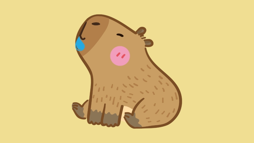Lưu trữ avatar avatar capybara chibi cute đáng yêu