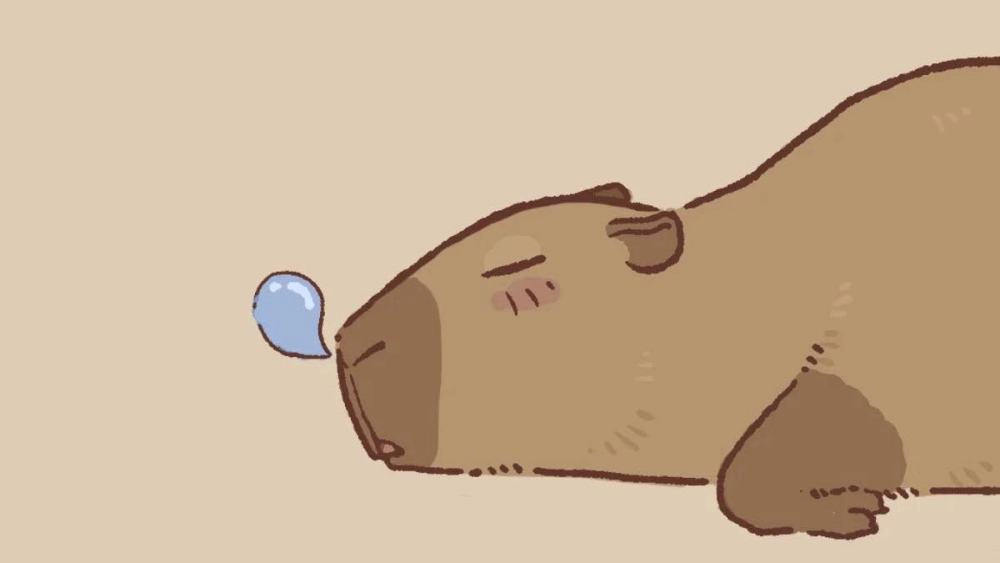 Thưởng thức avatar ảnh capybara chibi cute mỗi ngày