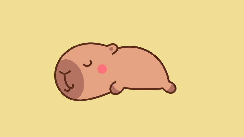 Bộ sưu tập chibi avatar avatar hình ảnh capybara cute chibi mới nhất