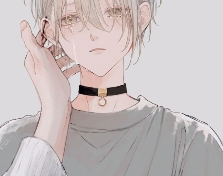 Ngắm nhìn ảnh avatar đẹp cho nữ siêu xinh