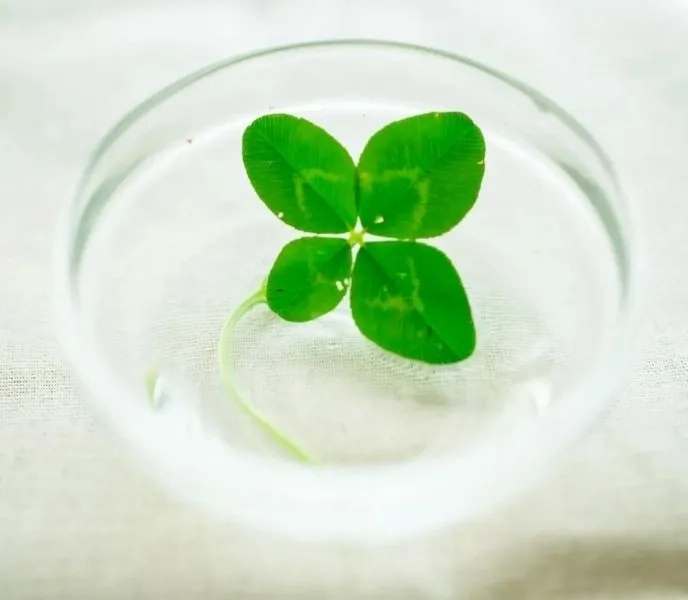 Xem ngay avatar em bé cute siêu dễ thương