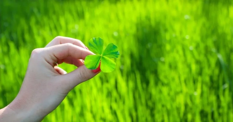 Cài avatar ảnh may mắn trong kì thi cầu đỗ