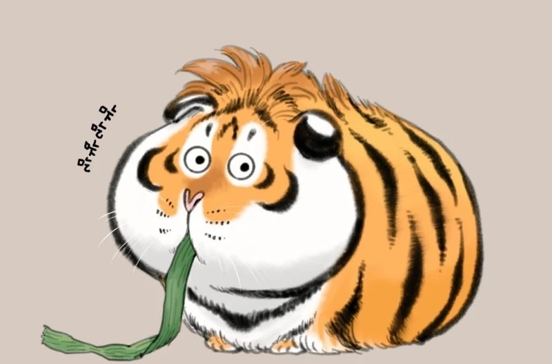 Khám phá hình nền con hổ cute mới nhất