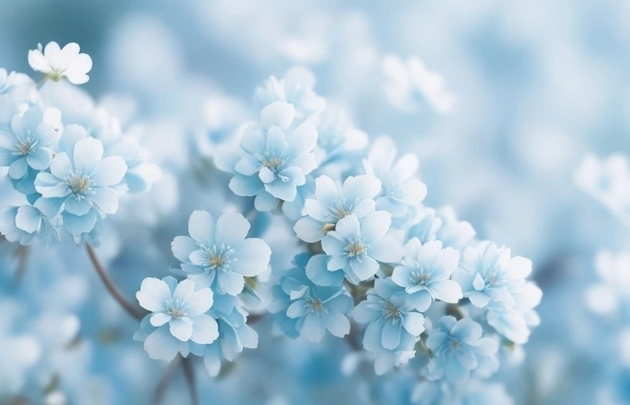 Chia sẻ ngay avt fb cực chất