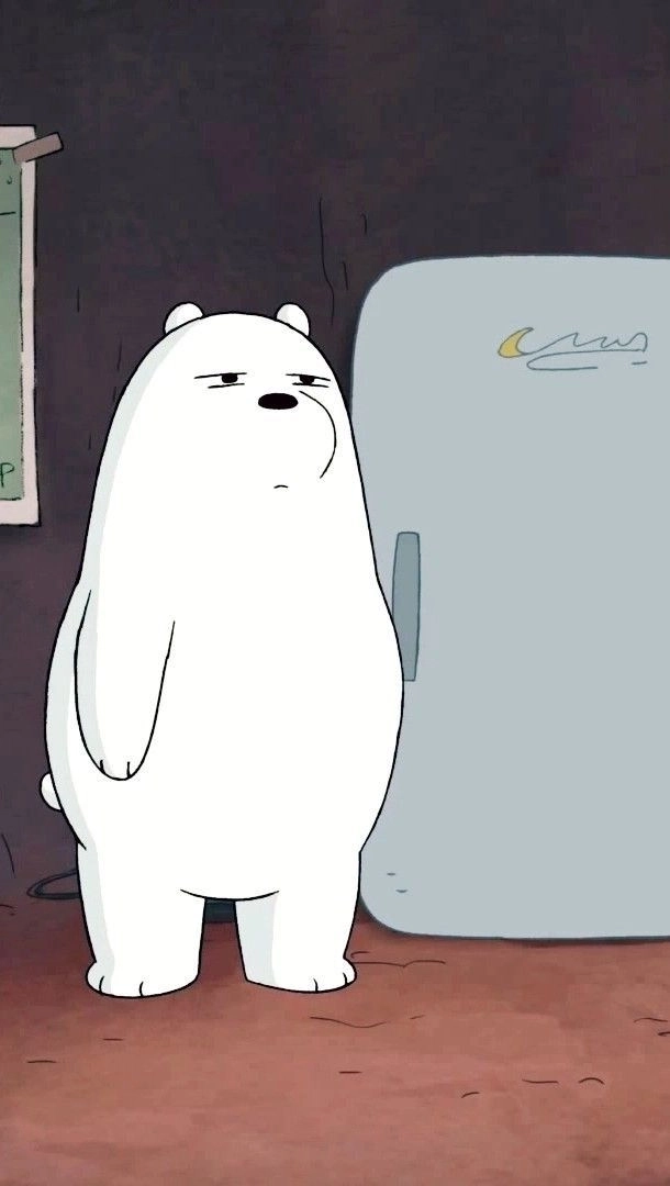 Tổng hợp ảnh chú gấu trắng cute đẹp nhất