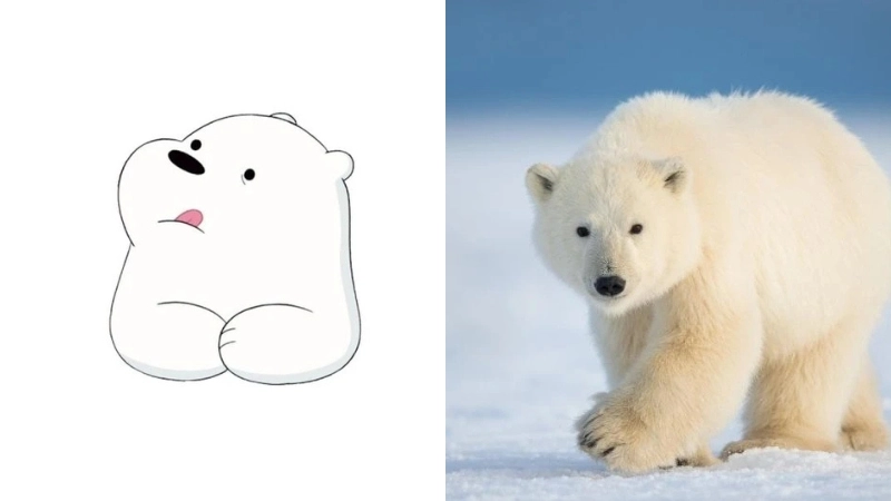  Tải ngay ảnh avatar gấu trắng siêu dễ thương cho Facebook 