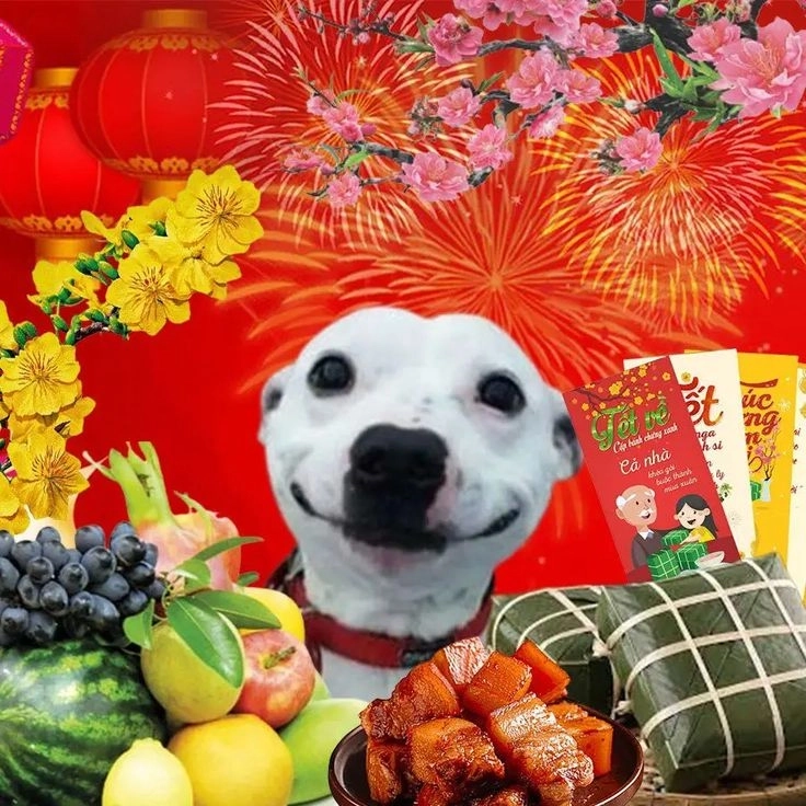 Nổi bật với avatar hài tiktok avatar vô tri