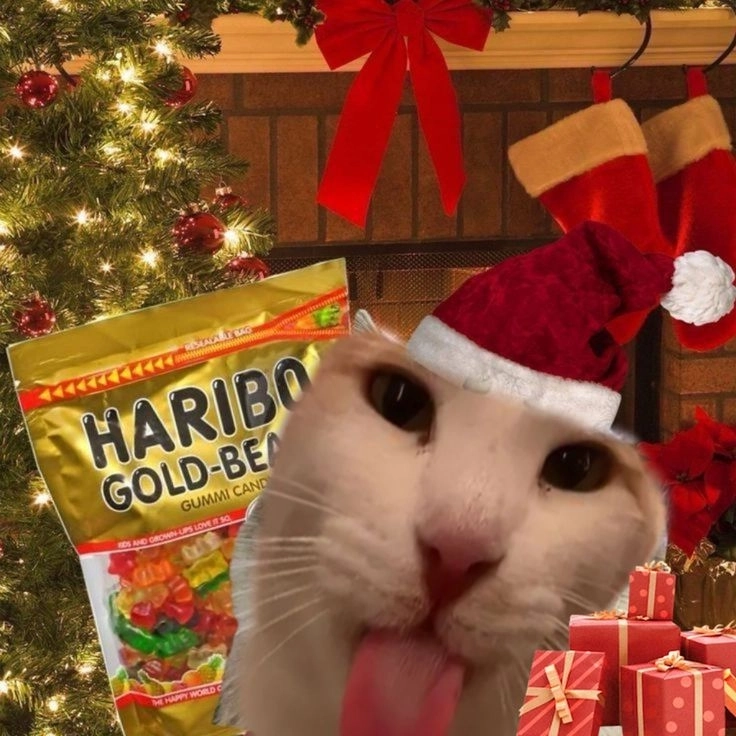 Gợi ý avatar hài avatar vô tri cute chó