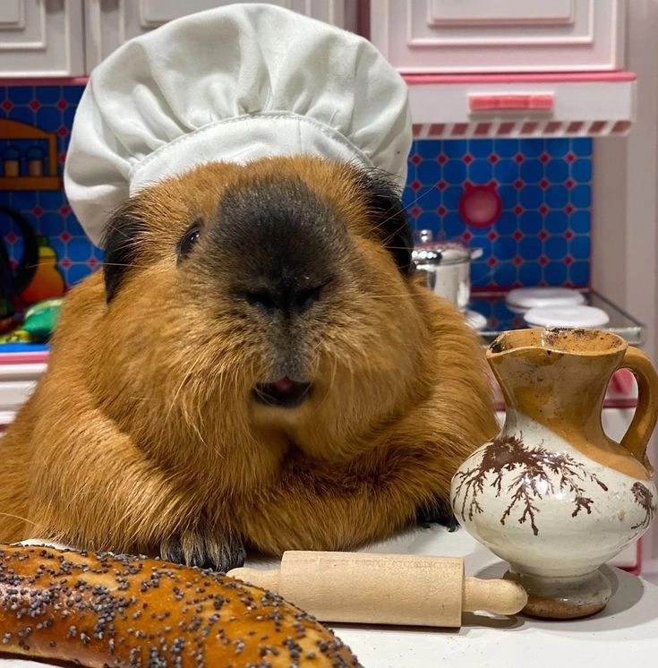 Trọn bộ hình chế vui nhộn hot nhất