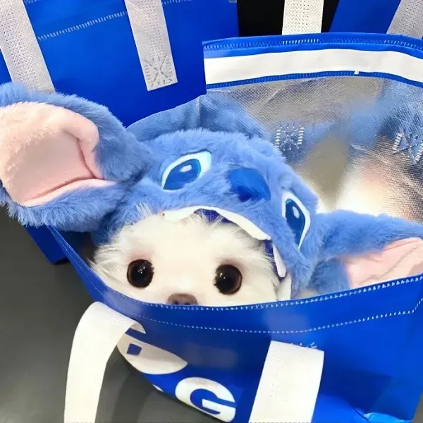 Trải nghiệm hình nền màu xanh dương ngầu cá tính