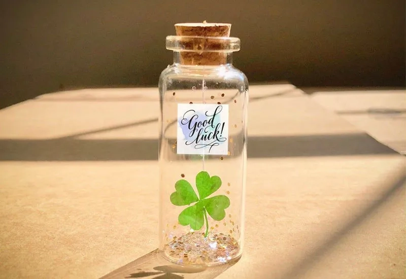 Tải hình nền cỏ 4 lá đẹp hút may