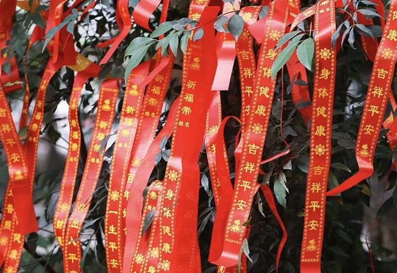 Sở hữu hình nền đẹp cỏ 4 lá may mắn