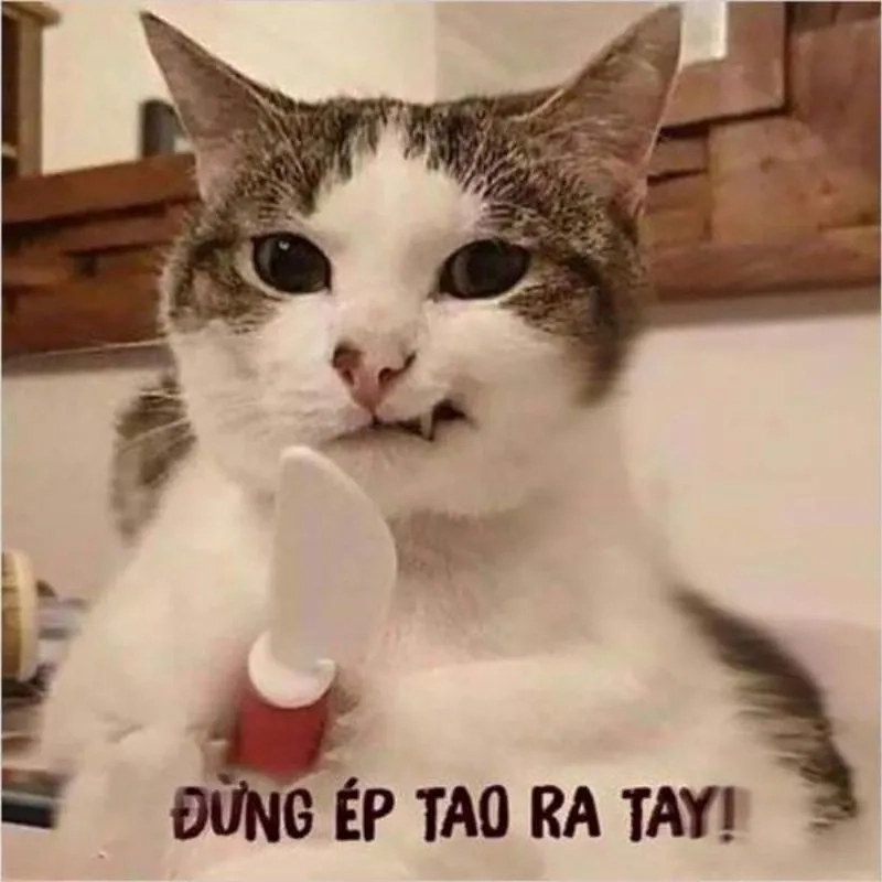 Tổng hợp các meme hài hước siêu vui