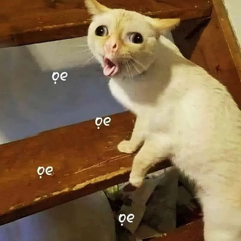 Chọn weibo meme gấu trúc troll face siêu lầy