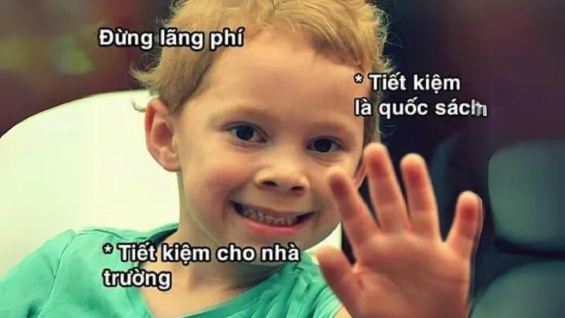 Tải ngay avatar meme mèo bựa cực lầy