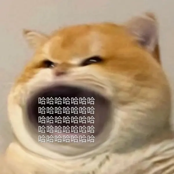 Săn ngay avatar ảnh mèo cute meme cực hài