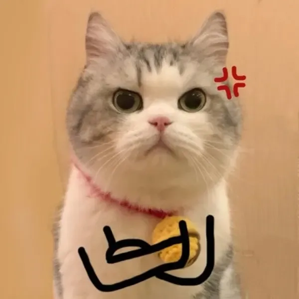 Tải ngay dễ thương icon ảnh meme cute