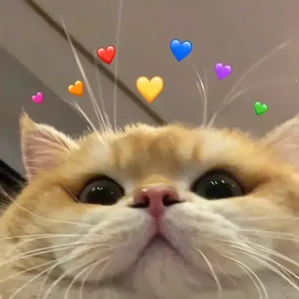 Ngắm ngay mặt cười icon ảnh meme cute cực lầy