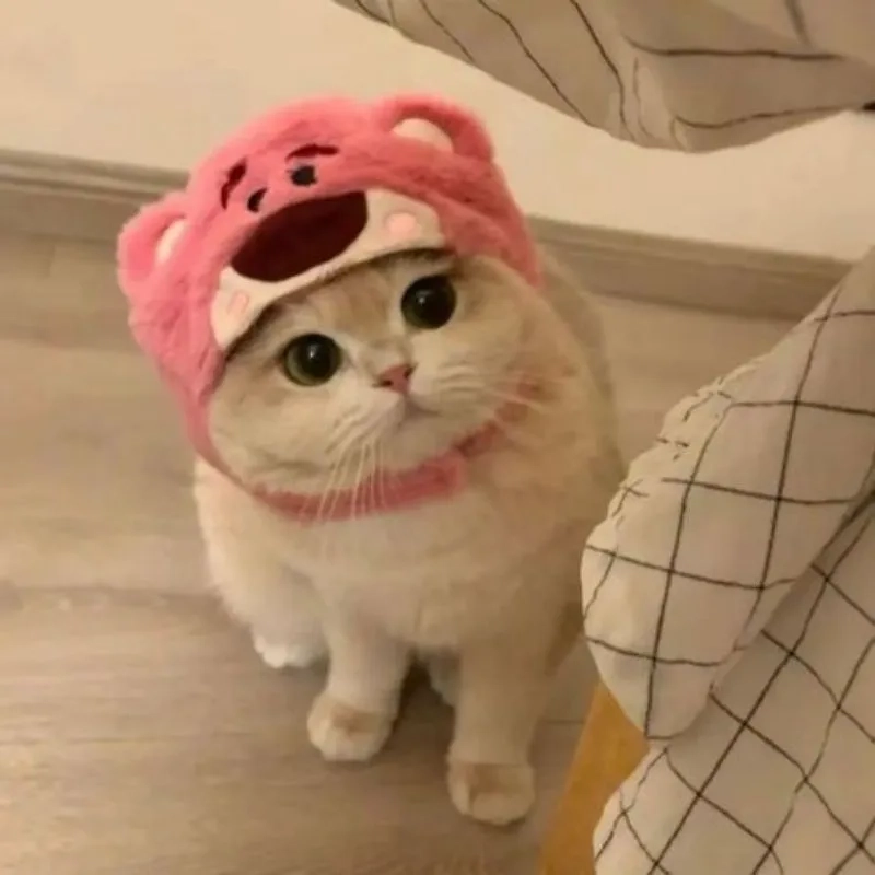 Tìm kiếm avatar anime chibi ảnh mèo cute hoạt hình