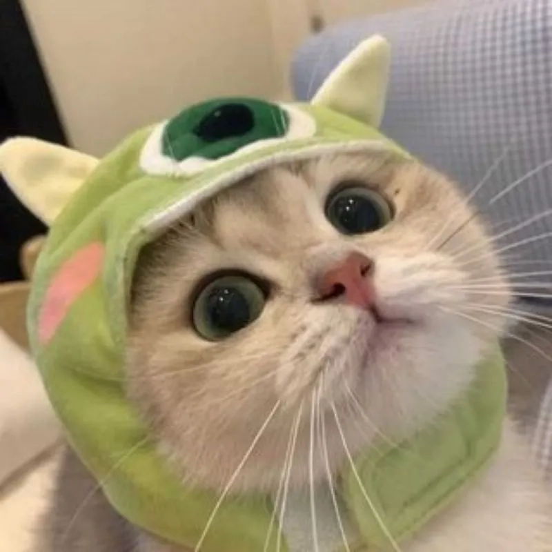 Lưu về máy ảnh avatar mèo chibi cute