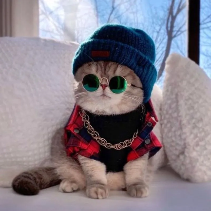 Đổi ngay avatar dễ thương cute mèo chibi mập