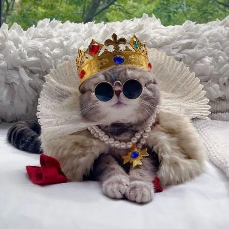 Đặt ngay chibi avatar đôi bff cute mèo