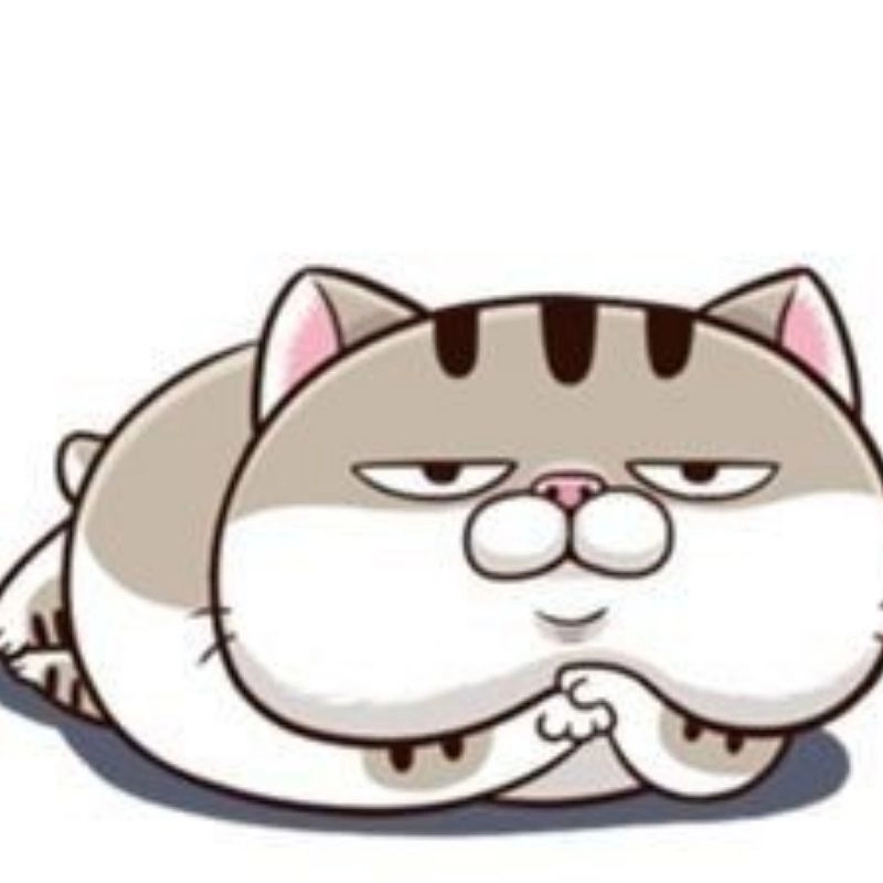 Tải ngay meo chibi meo chibi avt avatar ảnh mèo cute