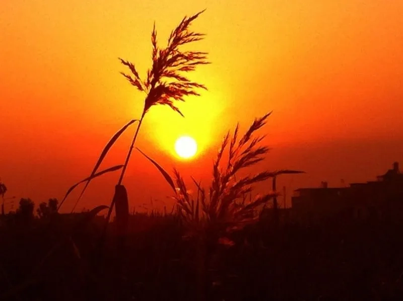 Ngắm nhìn hình nền 4k phong cảnh tuyệt mỹ