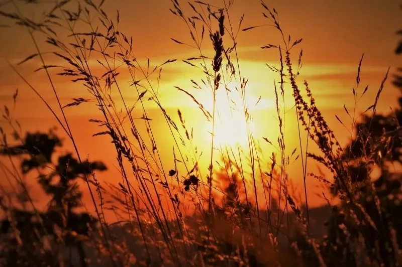 Cài đặt hình nền điện thoại 4k phong cảnh cực đỉnh