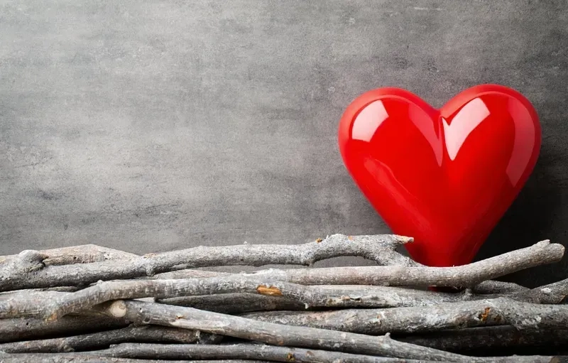 Xem ngay ảnh cặp đôi trái tim siêu đẹp