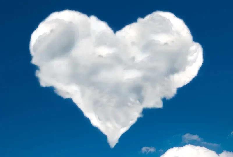 Khám phá hình trái tim đôi đẹp ấn tượng