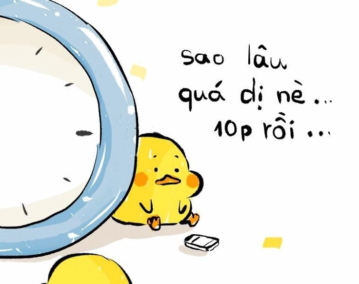 Khám phá ảnh vịt trắng siêu cute đáng yêu