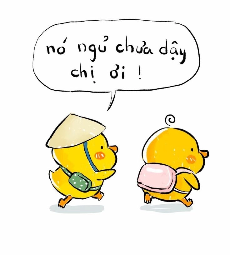 Tải ngay hình con vịt trắng dễ thương nhất