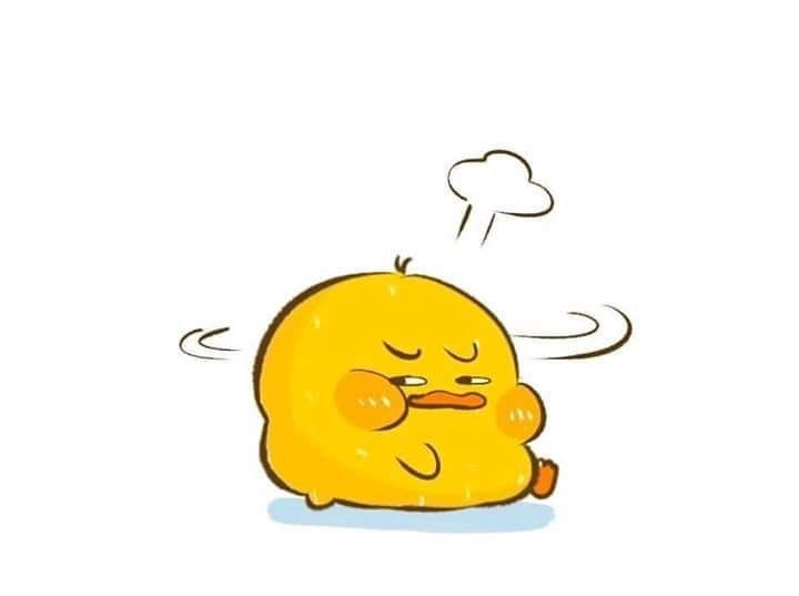 Cập nhật hình nền con vịt trắng xinh xắn cực đẹp